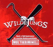 Wilde Jungs - Multikriminell, CD