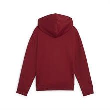 Puma - ESS+ SCRIPT Metallic Hoodie FL G, Hoodie