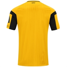 Jako - Dynamo Dresden Heim Trikot 26/27, Fantrikot