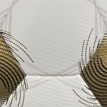 DERBYSTAR - FB-BRILLANT APS v25, Fu�ball