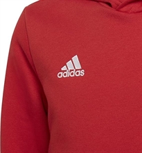 Adidas -  Entrada 22 Hoody, Kapuzenpullover