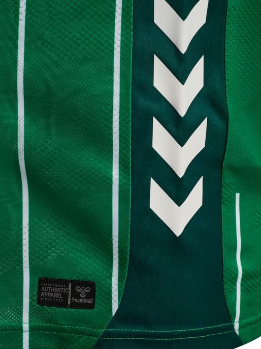 HUMMEL - WER 25/26 HOME JERSEY S/S KIDS, Trikot